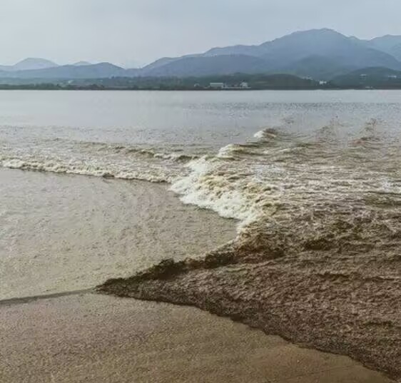 在线赌场