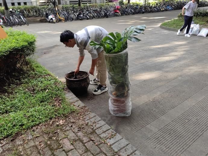 在线赌场
