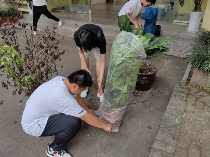 在线赌场
